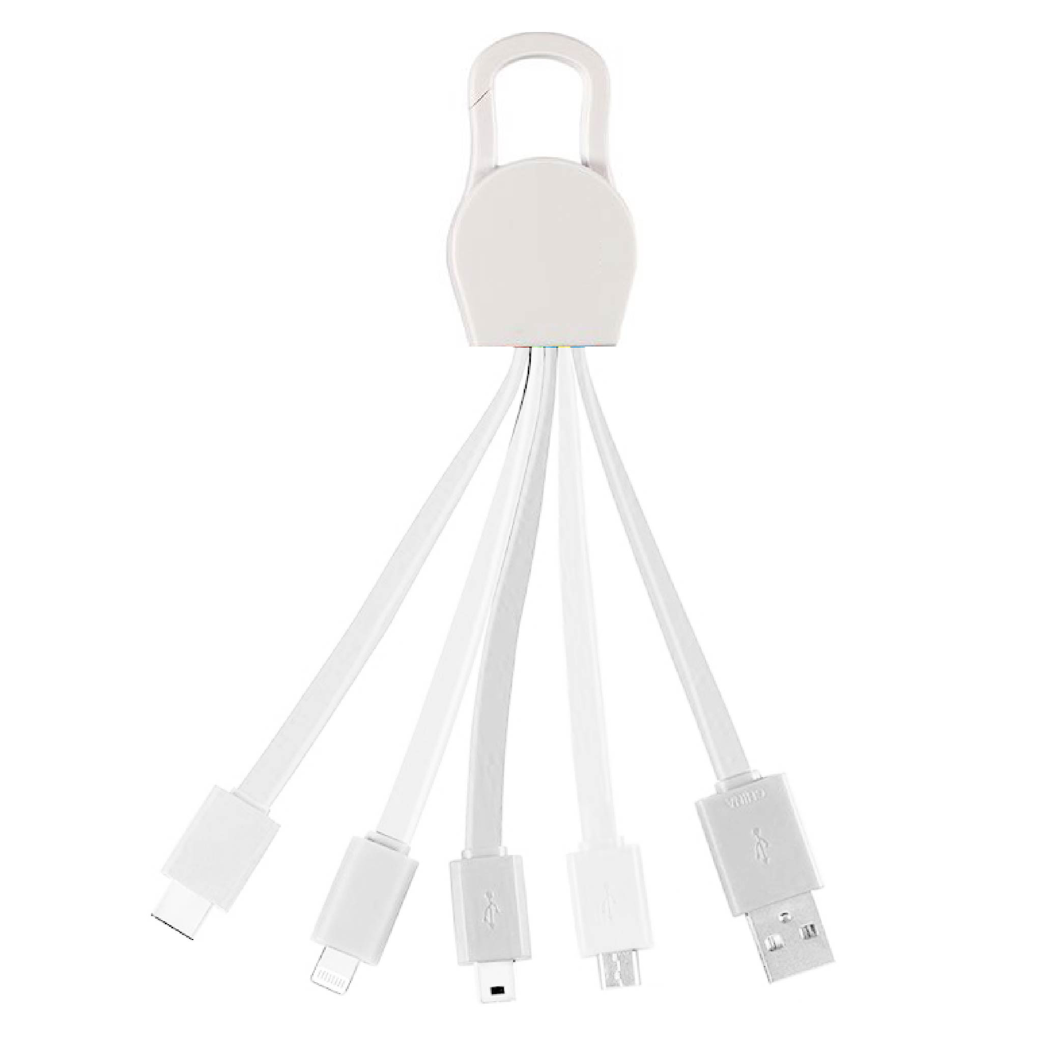 ColorLoop 5-in-1 Keychain Charger 3
