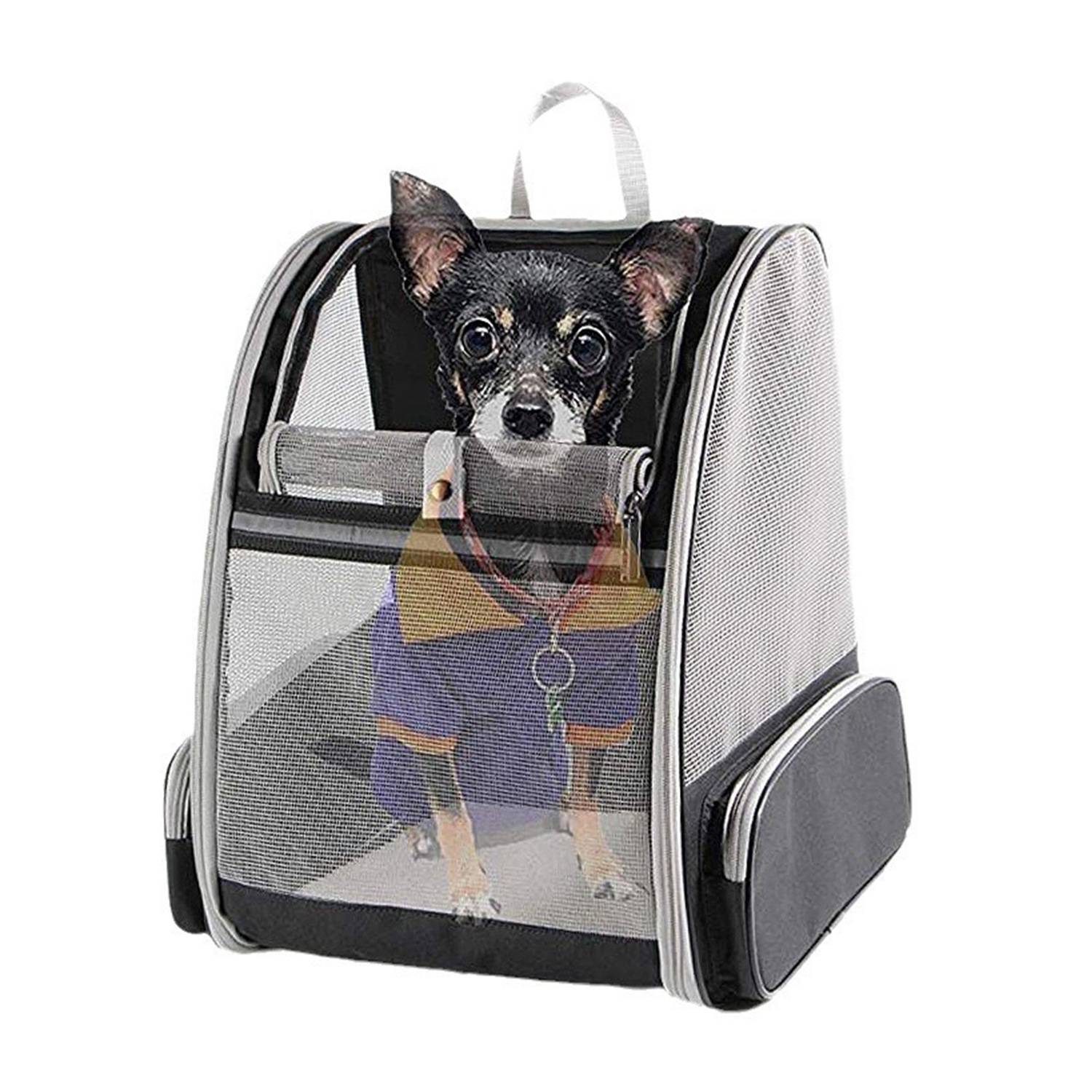 Innovative Traveler Pet Carriers 3
