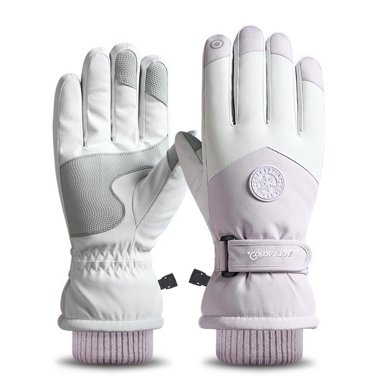 Ski Gloves 5