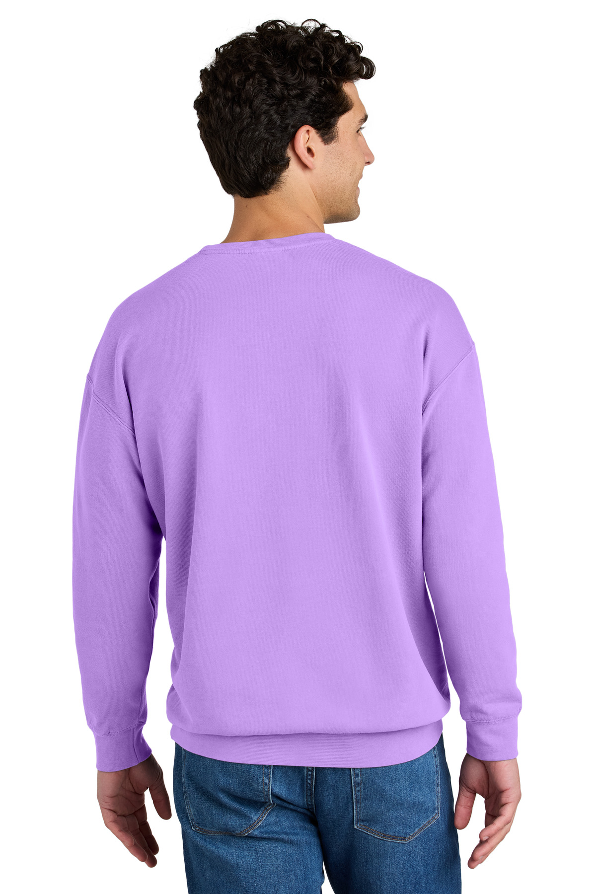 Comfort Colors Lightweight Crewneck Sweatshirt 1466 23