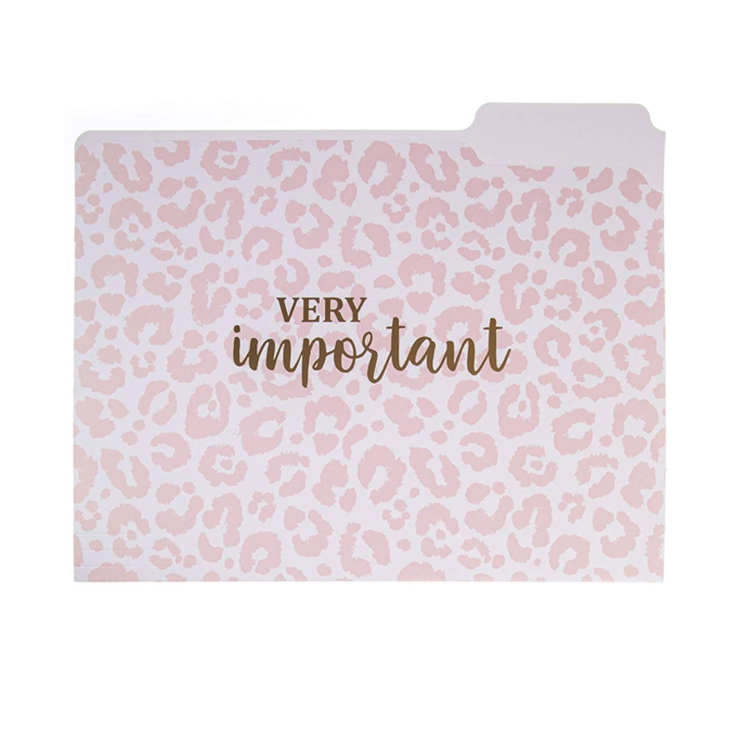 Paper Document File Folders 9