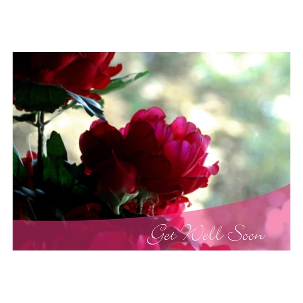 Magenta Flowers Get Well  Cards 1