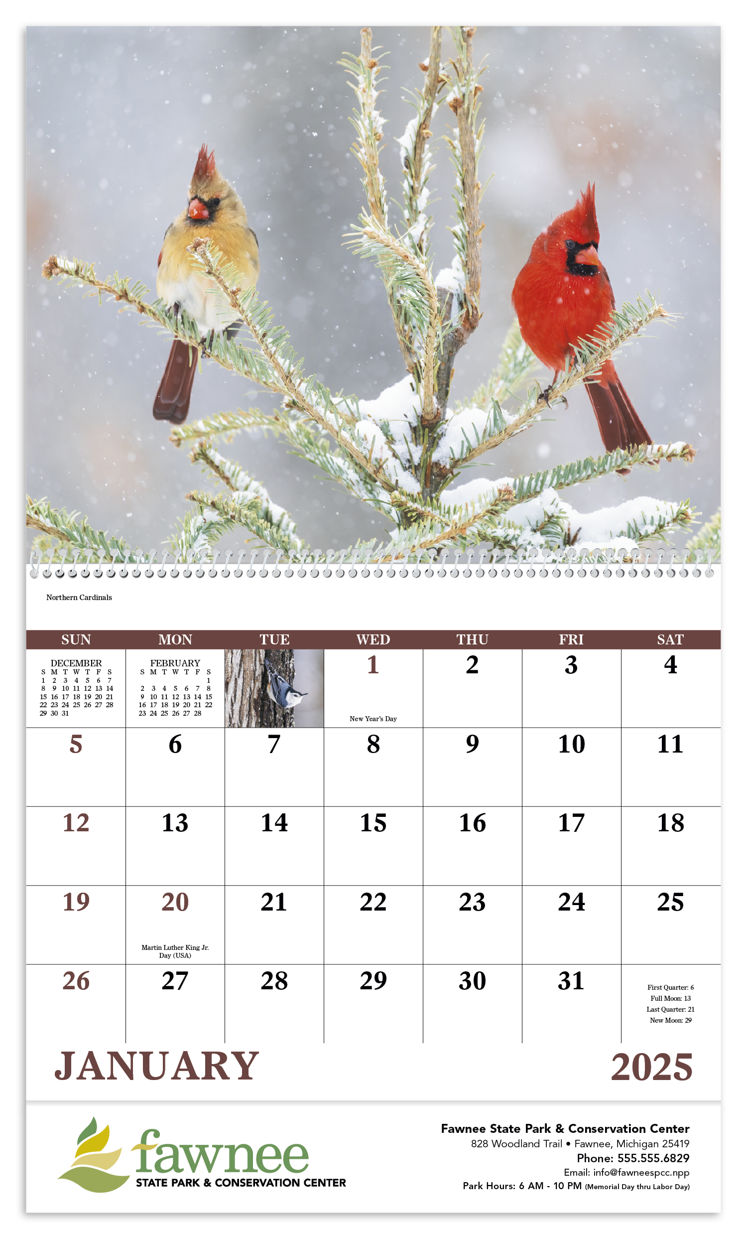 Good Value™ Birds of North America - Spiral Calendar 2