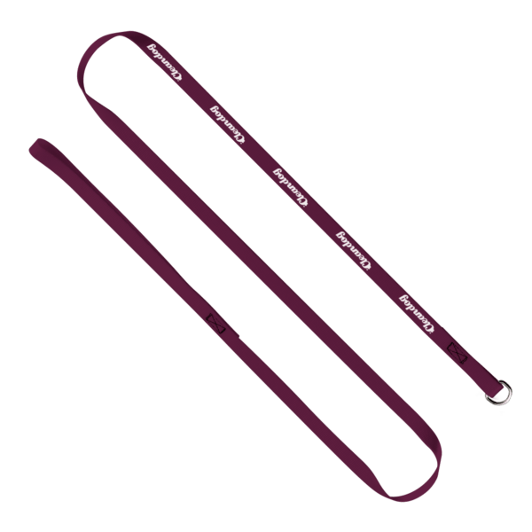 1/2" x 60" Smooth Nylon Pet Slip Leash