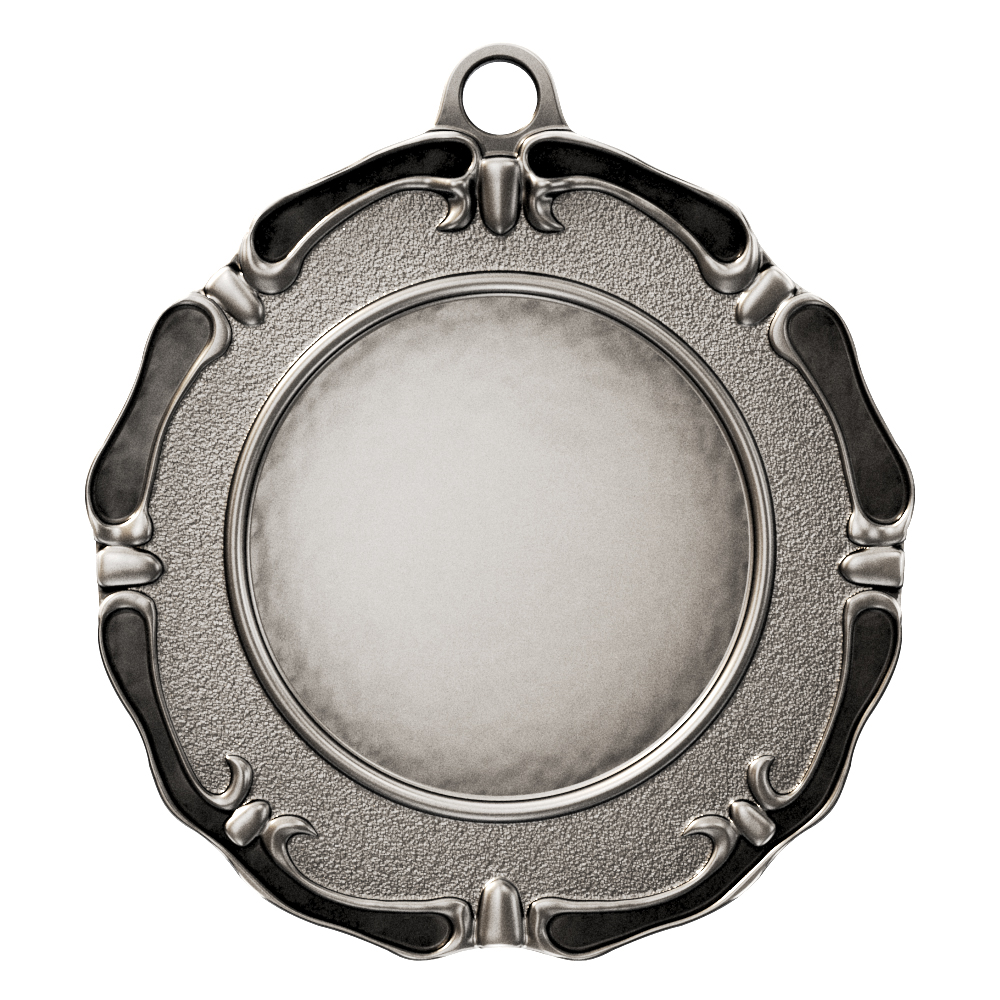 Limited Edition Medal - Insert 2