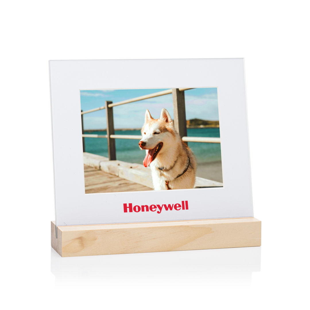 Bassan Frame 22