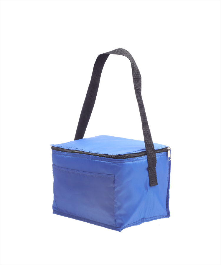 Union Printed - 6 Pack Cooler Lunch Bags 5