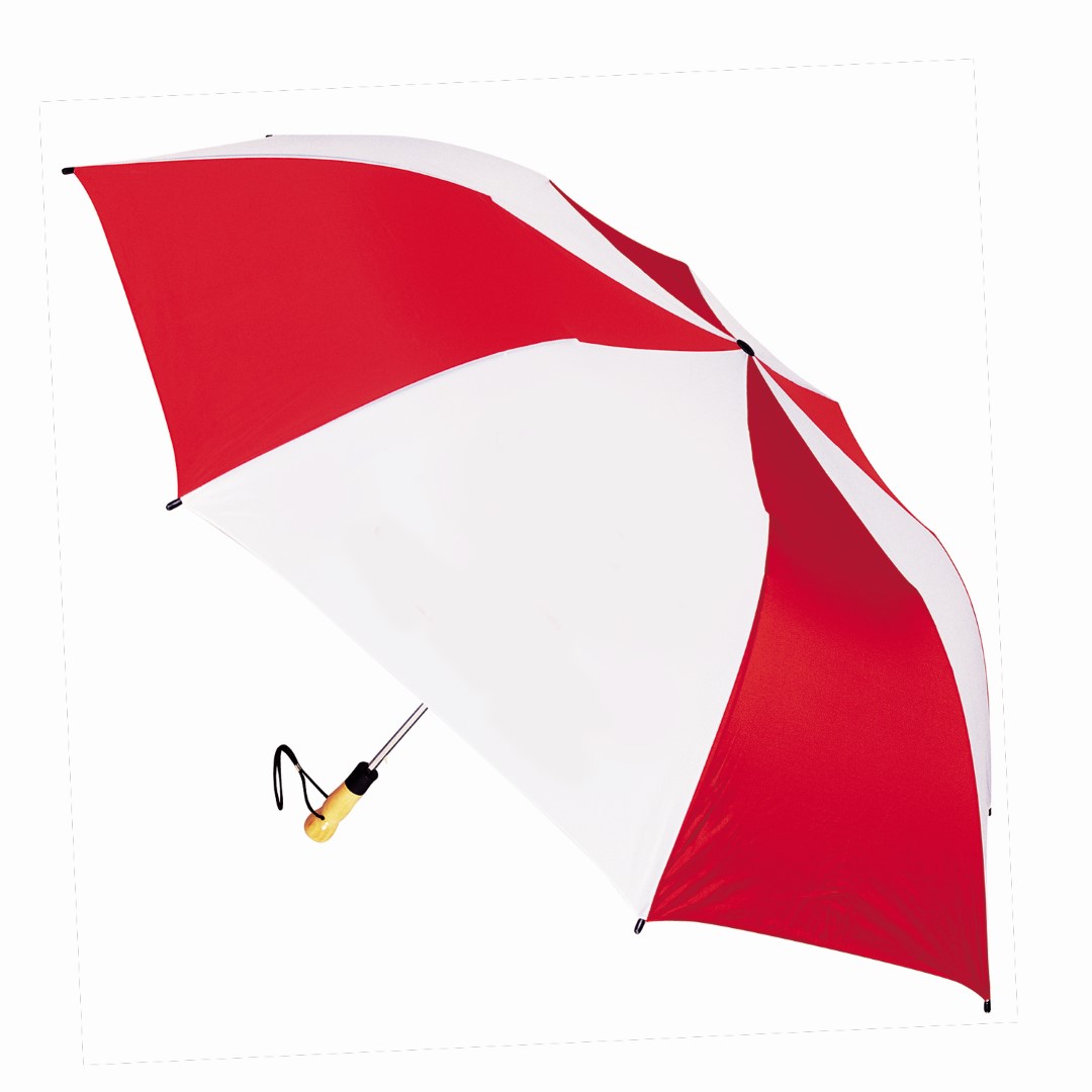 The Big Storm (TM) Umbrella 34