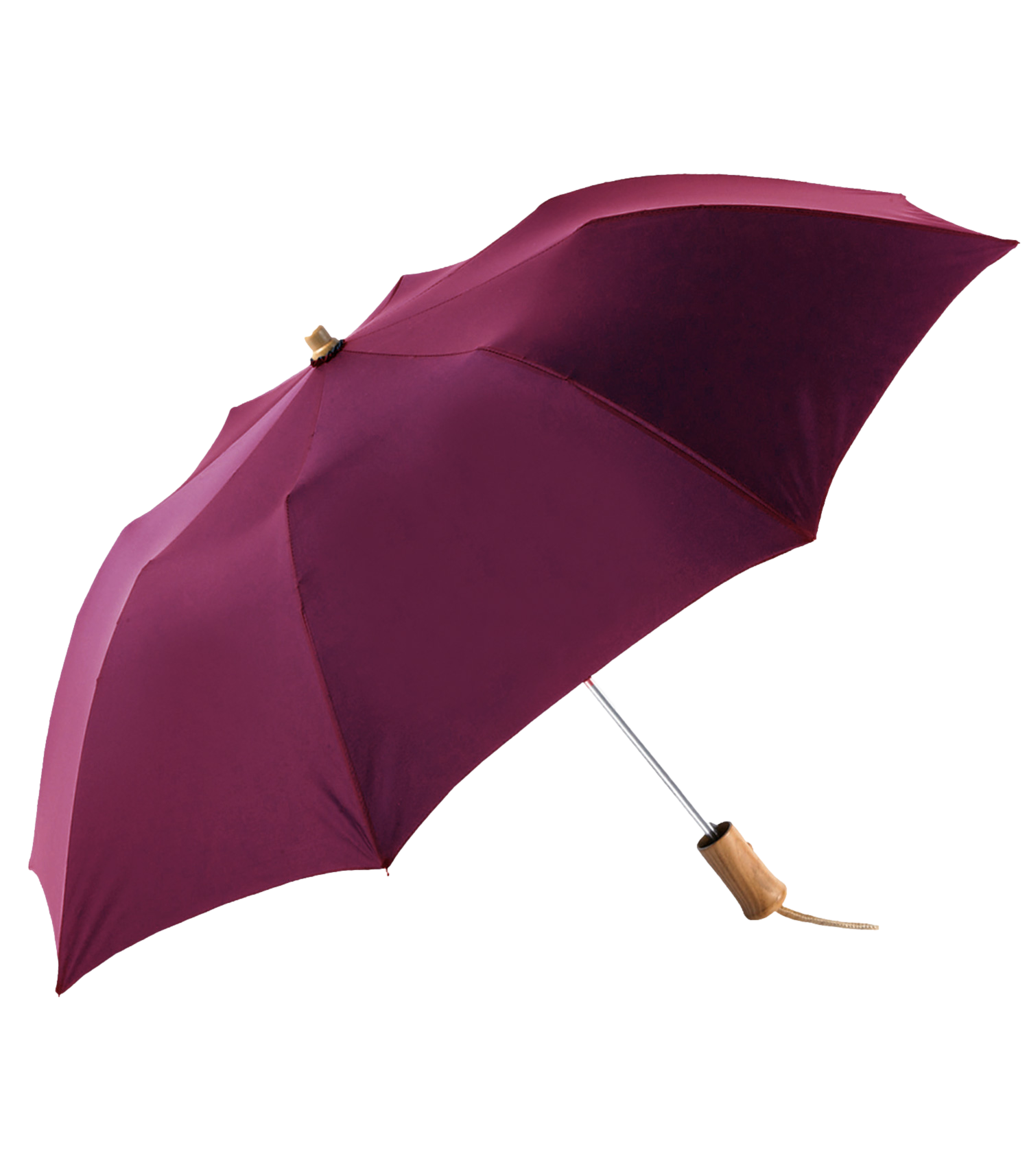 The Executive Umbrella 3