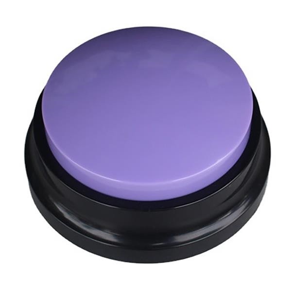 Easy Talking Button 4