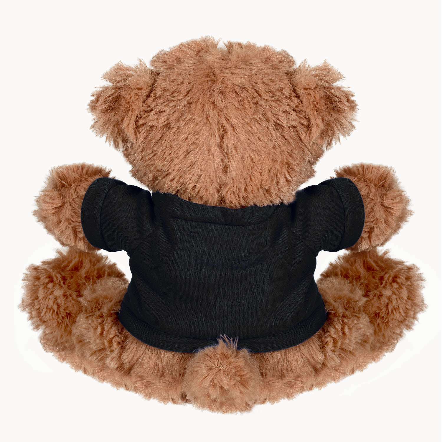 Plush Bear w/ Embroidered Paws and T-Shirt 31