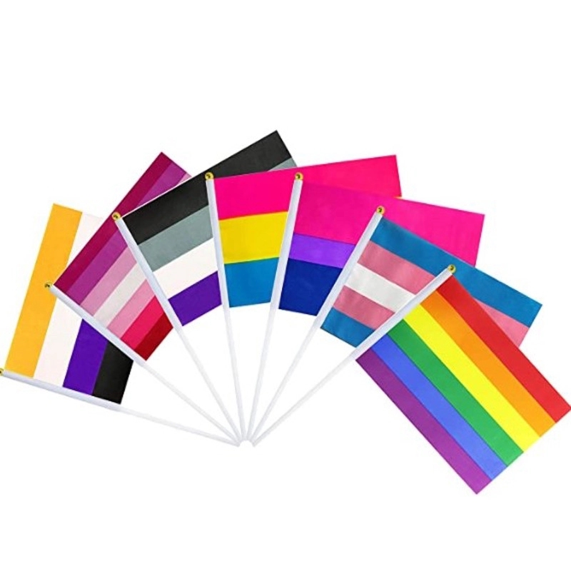 Rainbow Flags with Flagpoles 9