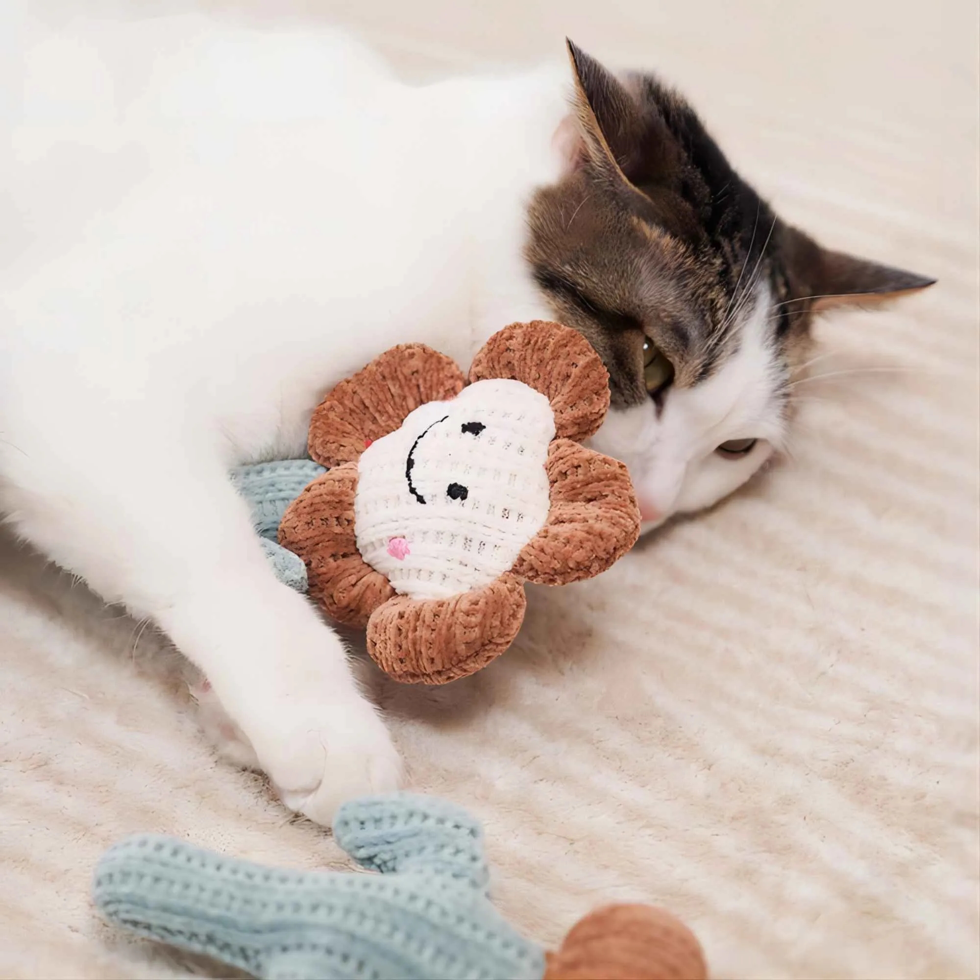 Cat Mint Toys 2