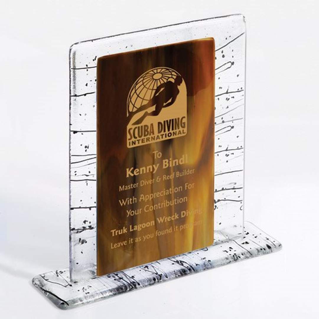 Triumph Fusion Award 3