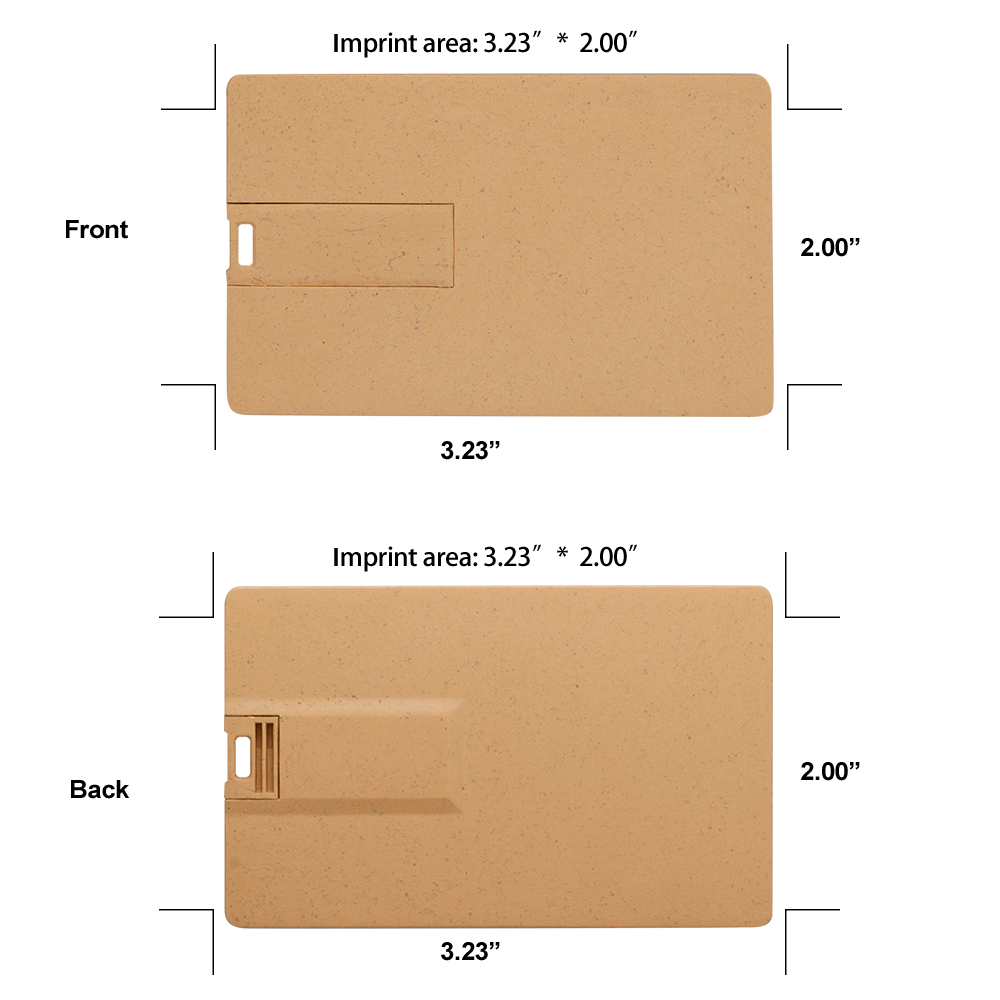 Broadview Eco-Friendly Card USB