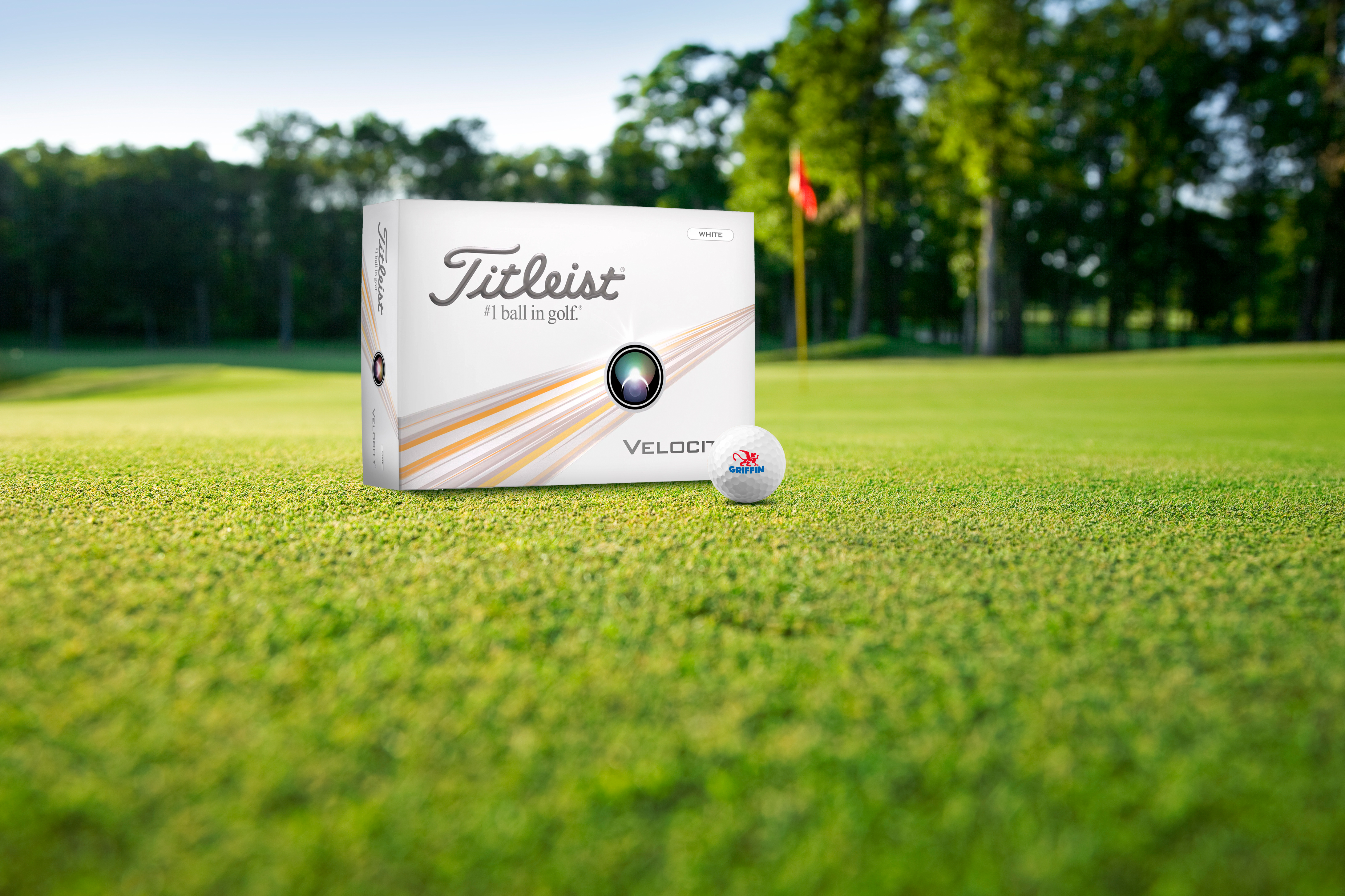 Titleist® Velocity Golf Ball Std Serv 13