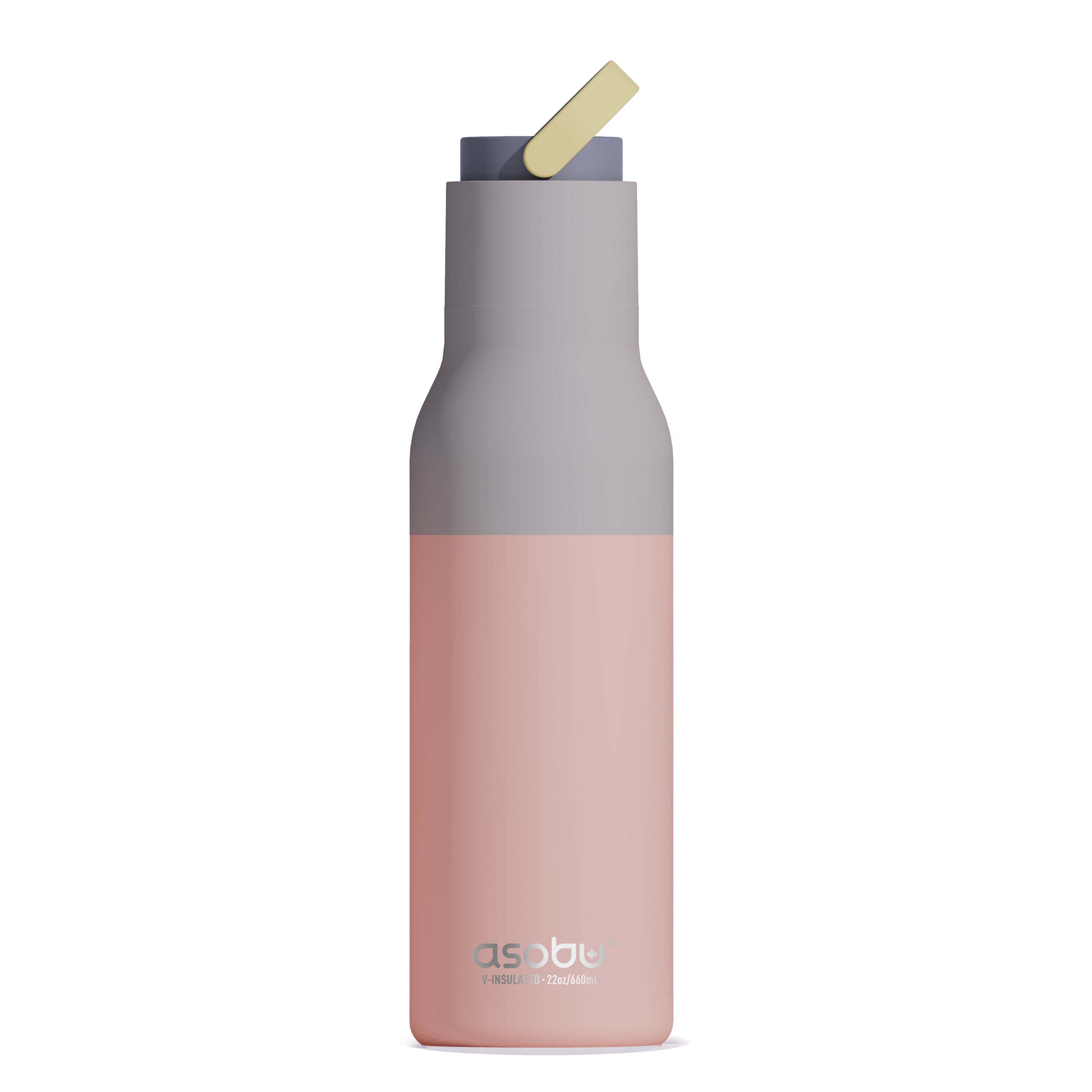 22 oz Asobu Metro Bottle with Removable Straw 4