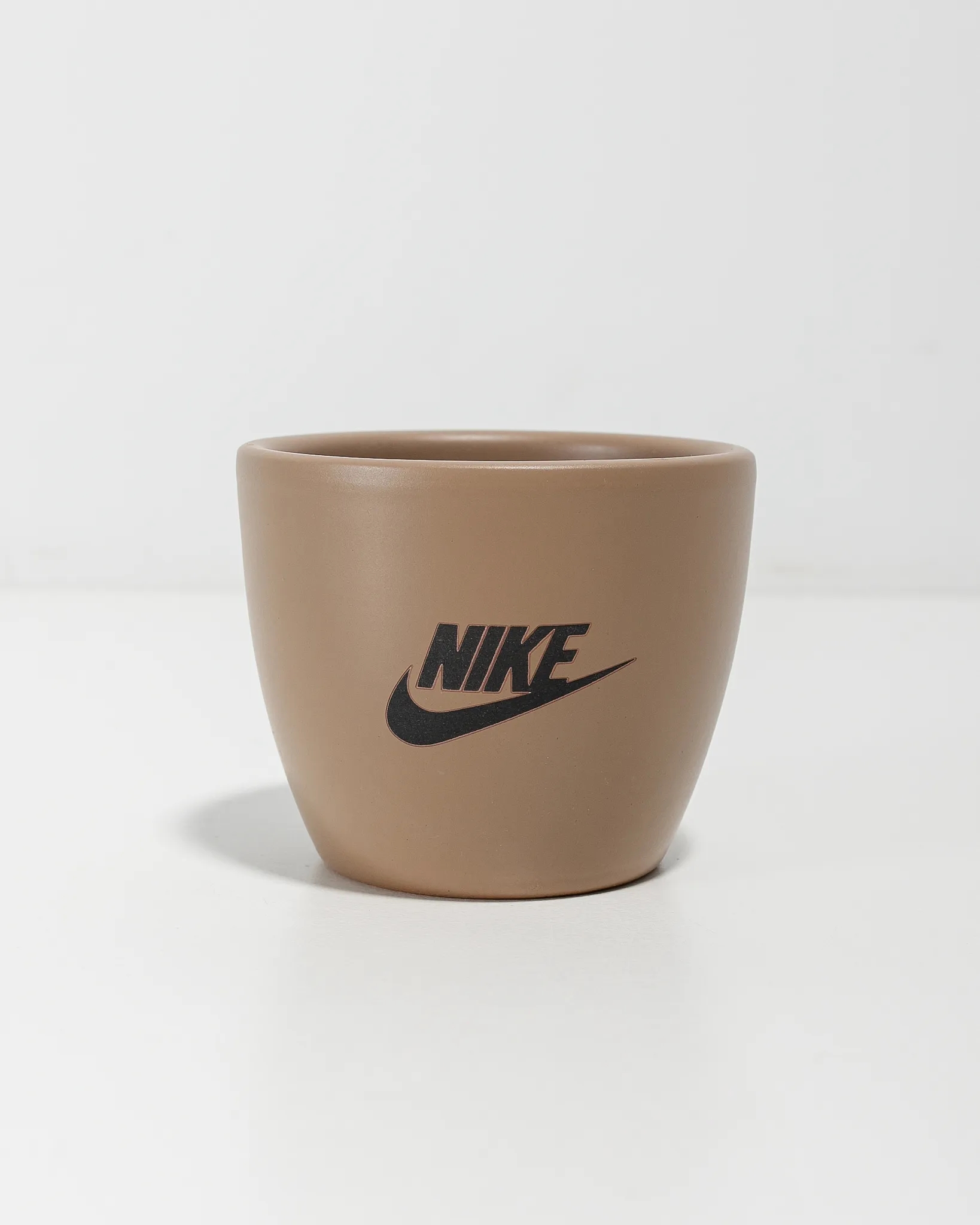 Petite Assorted Succulent Plant Kit