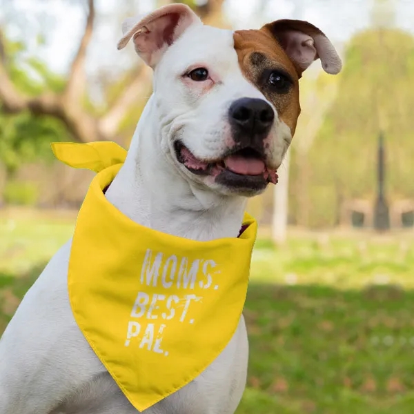 Pet Bandana Scarf 2