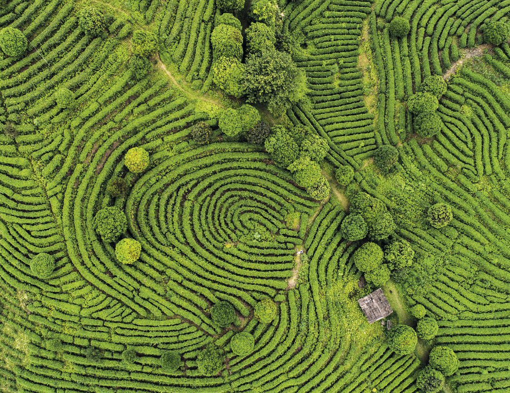 Good Value™ View from Above - Stapled Calendar 48