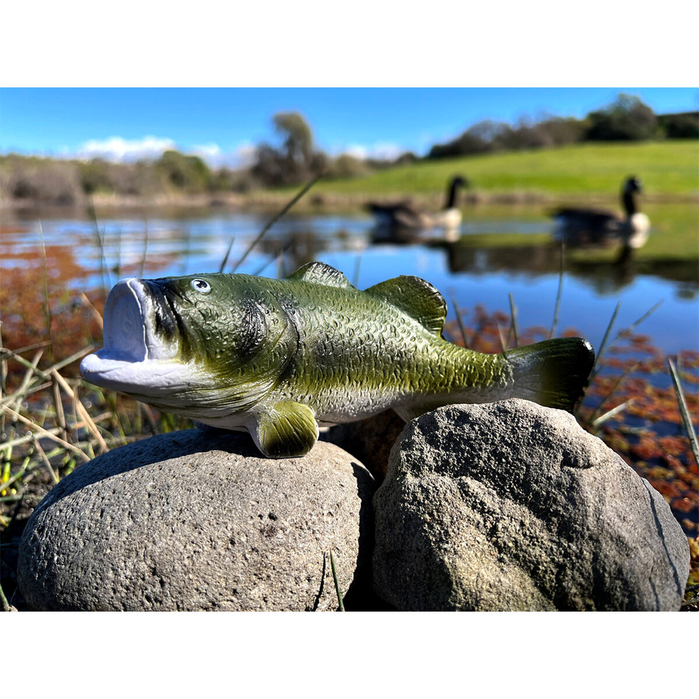 Bass Stress Reliever 1