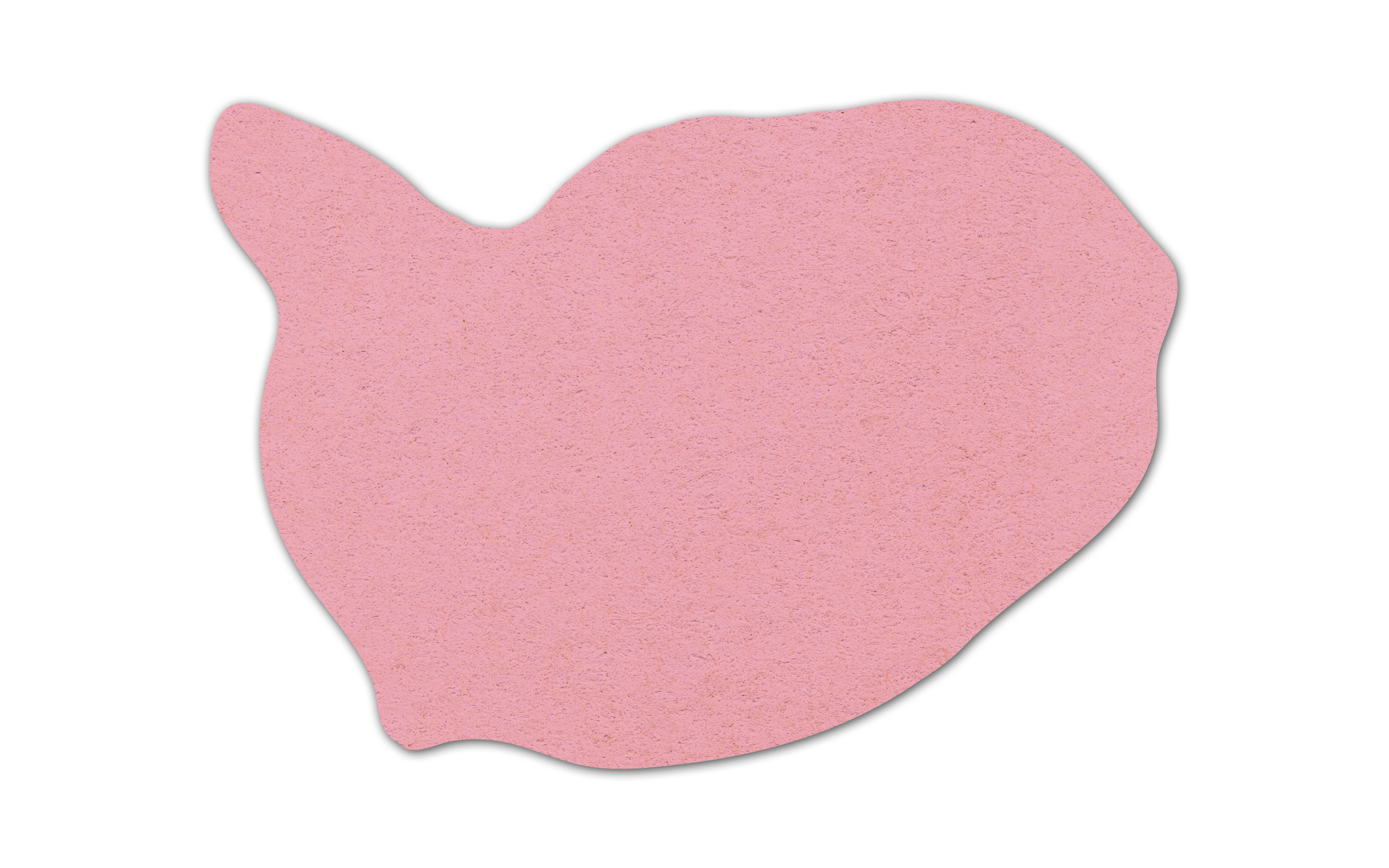 Whale Compressed Sponge 9