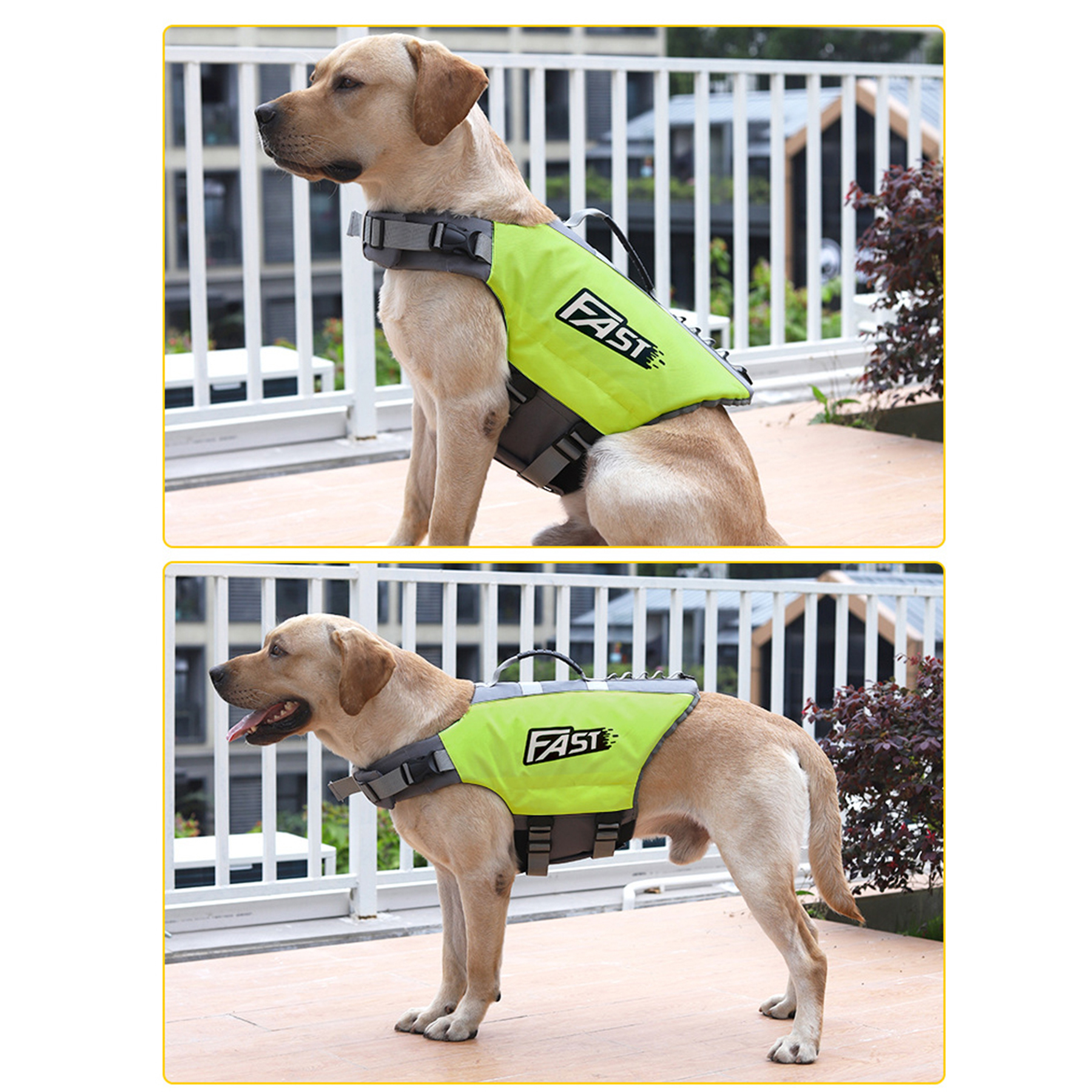Adjustable Dog Life Jacket 4