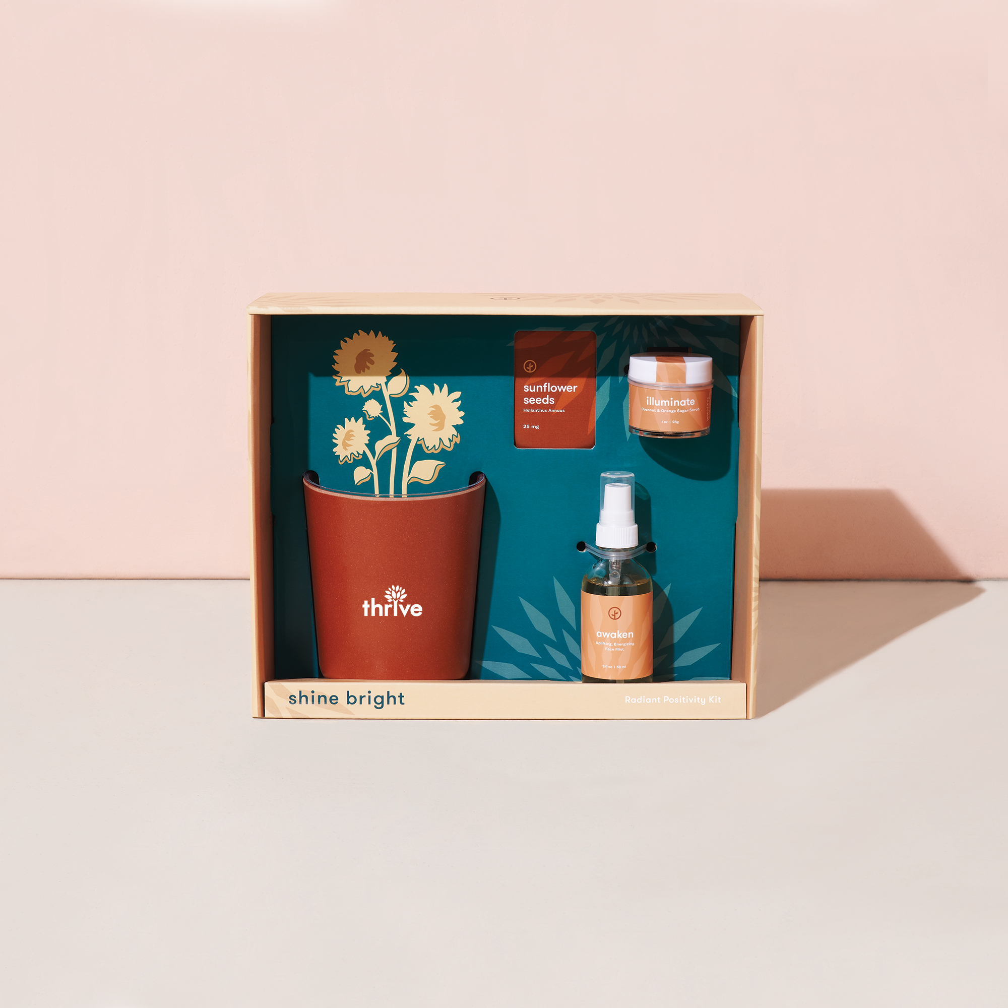 Modern Sprout® Shine Bright Take Care Kit - Sunflower 11