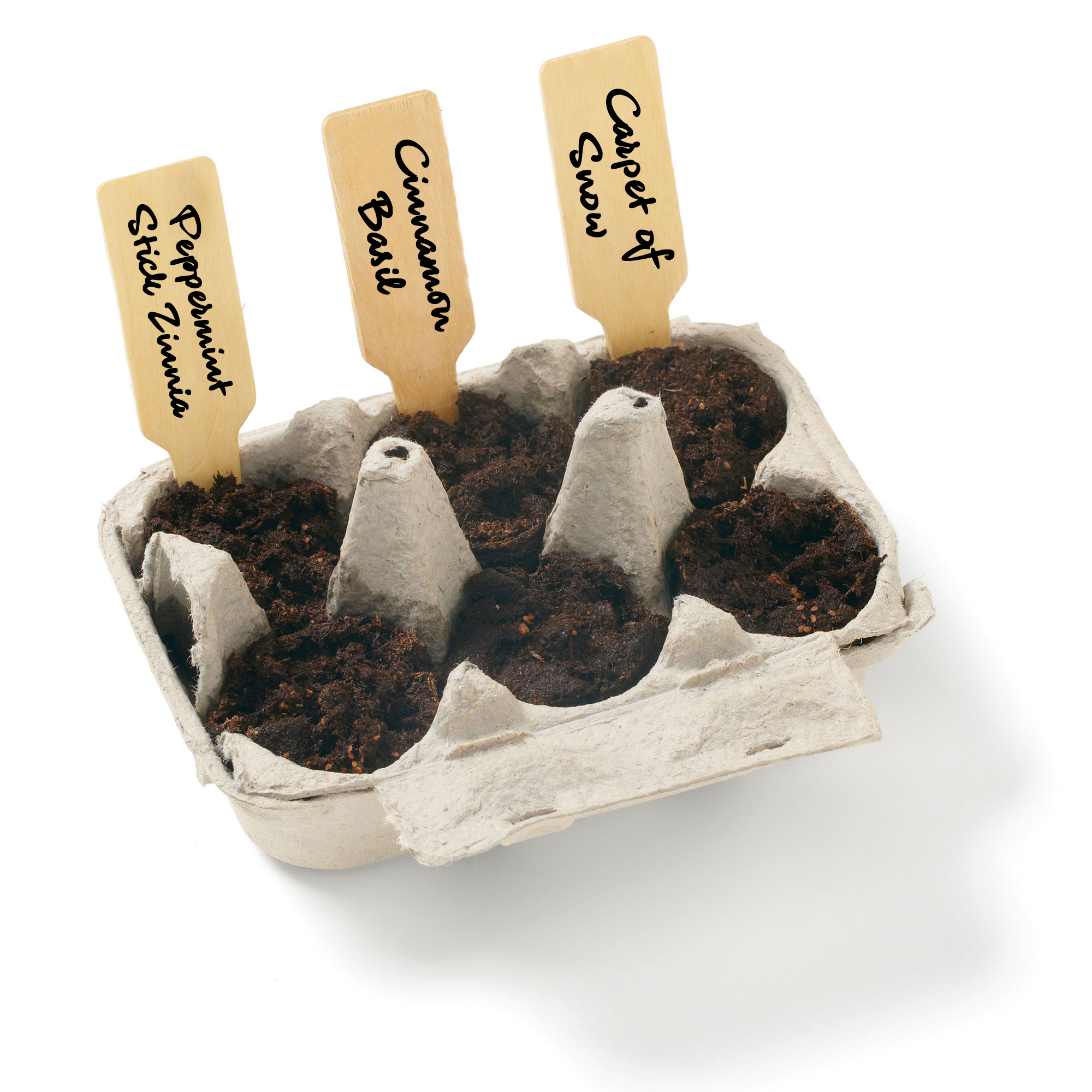 Winter Wonderland Grow Your Own Garden Kit w/Seeds 3