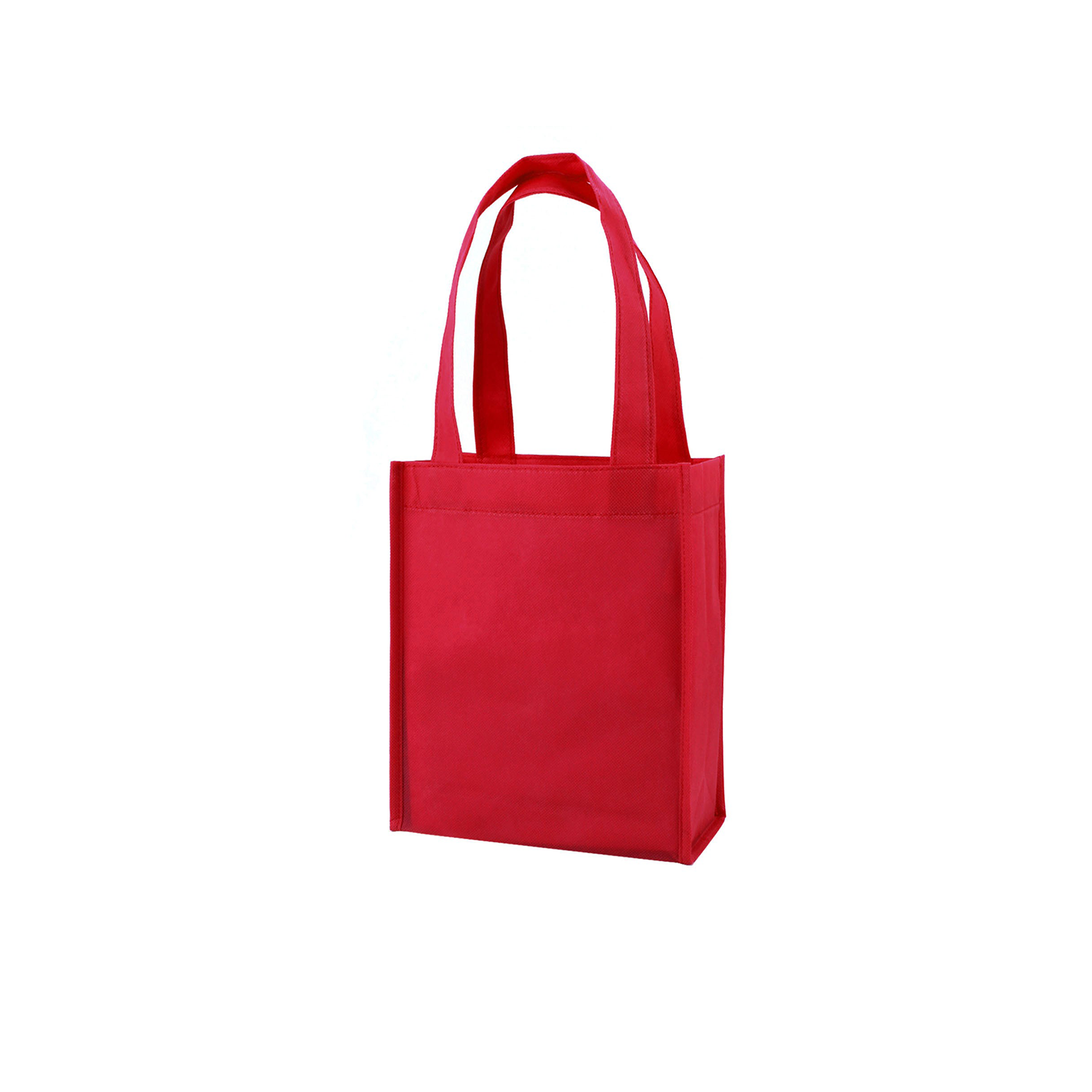 Non-woven Gift Bag 9