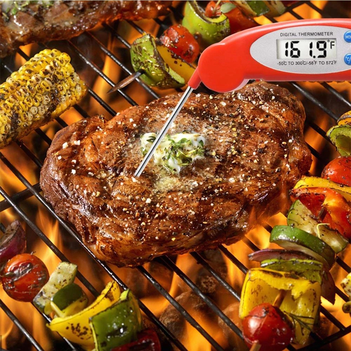 Instant read Digital Cooking Food Thermometer/ Long Probe 4