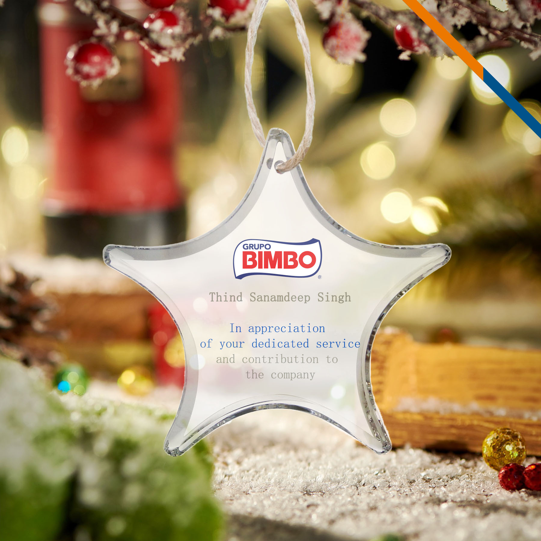 Vicki Star Award Ornament 5