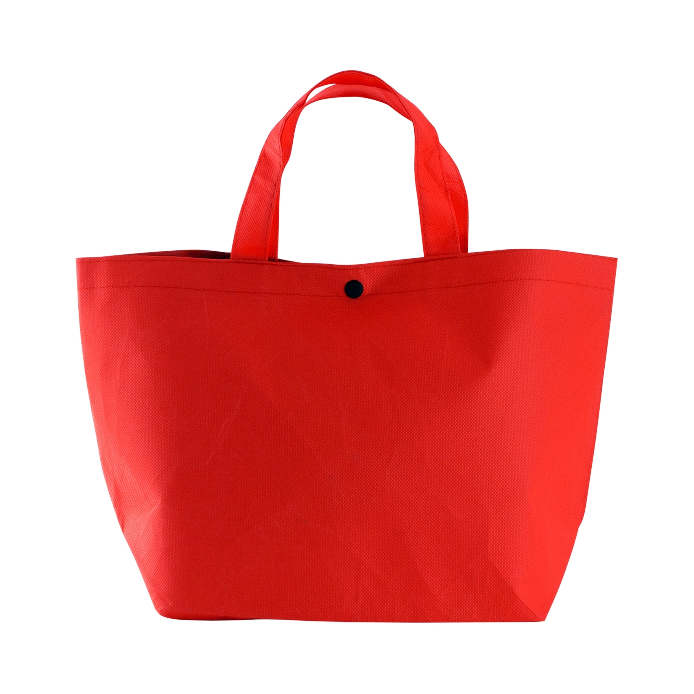Snap Lunch Tote 10