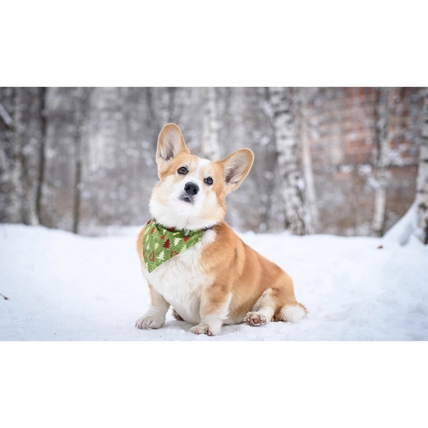 Pet Bandannas - Screen Sublimation 2