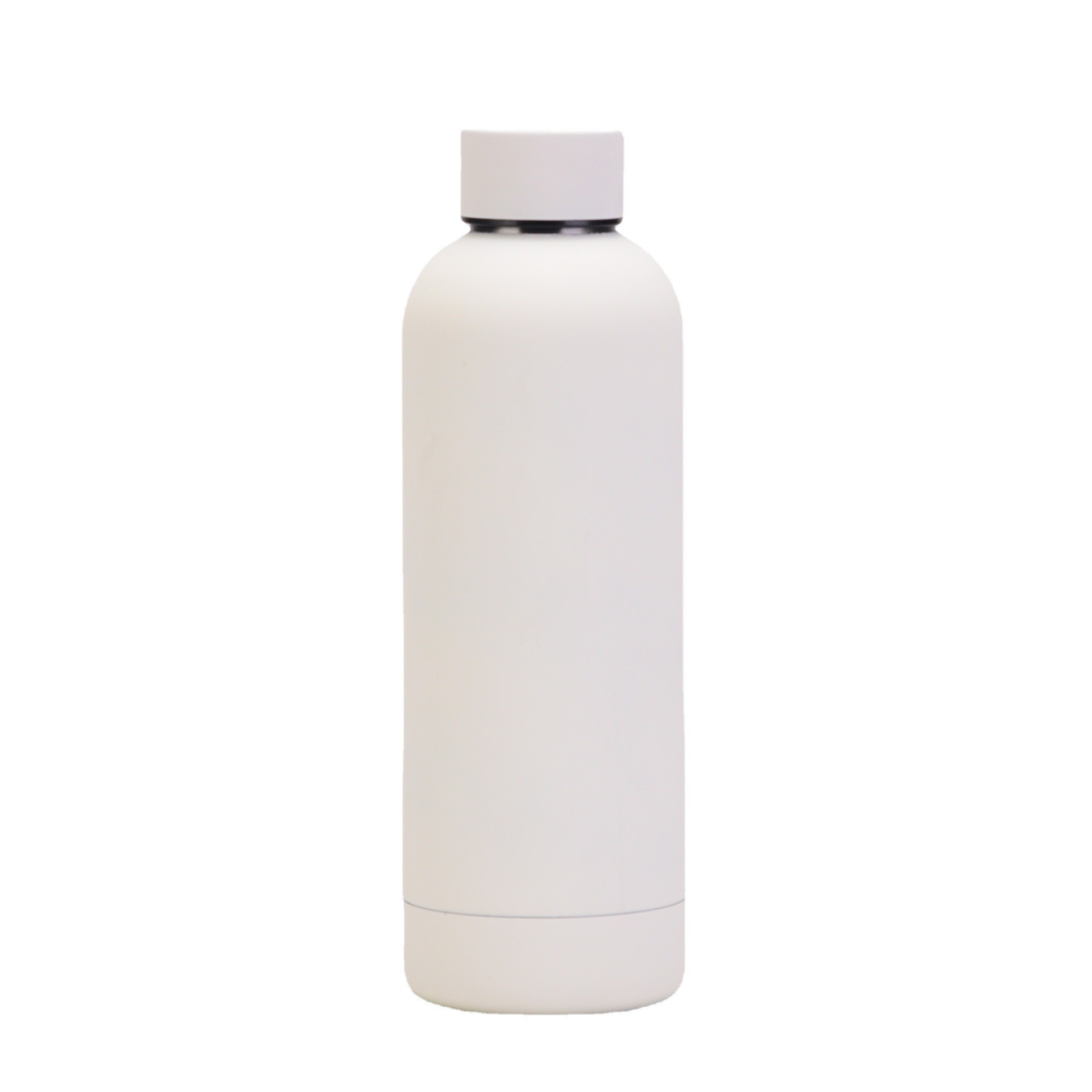 Stainless Steel Water Bottle 12