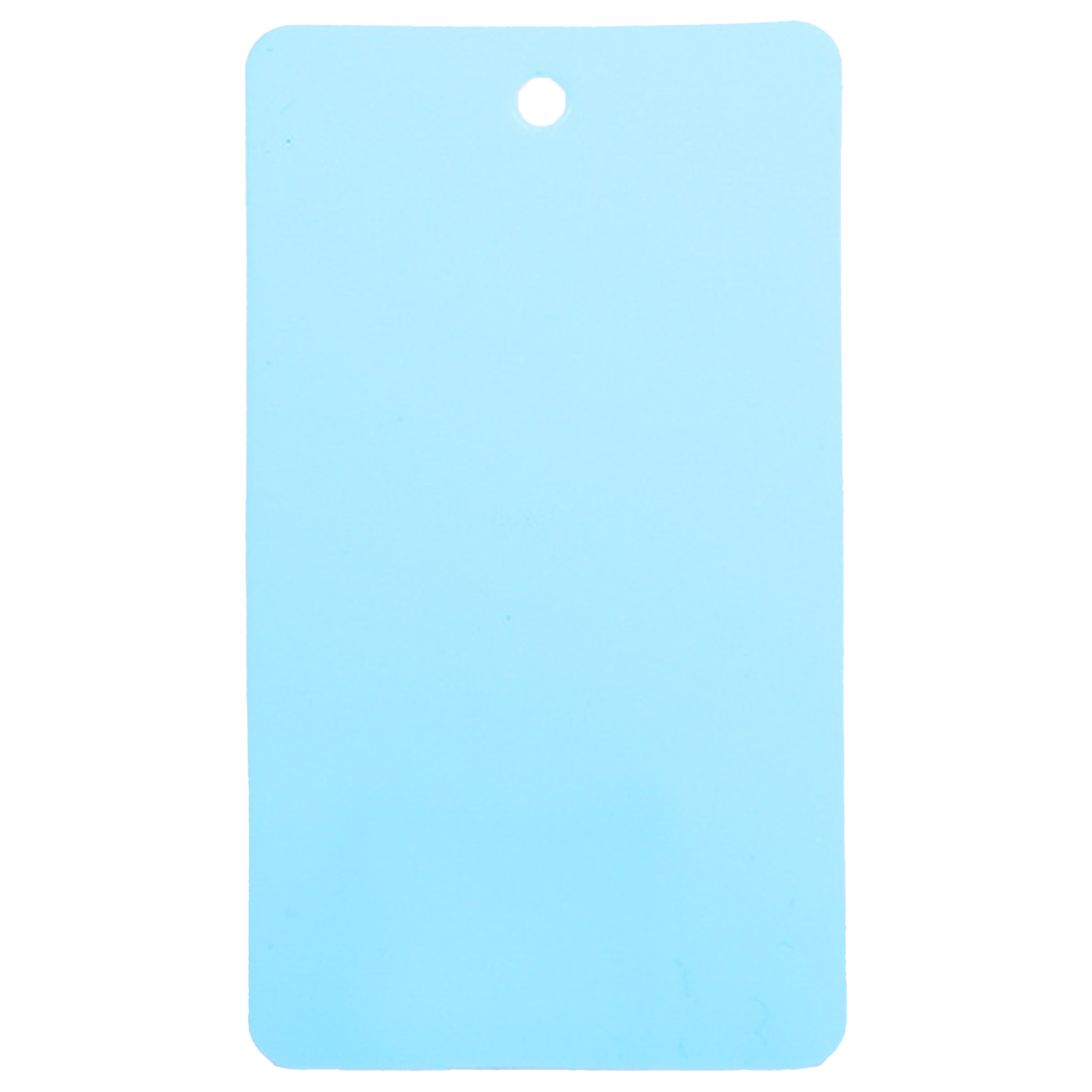 Plastic Waterproof Blank Tags 10