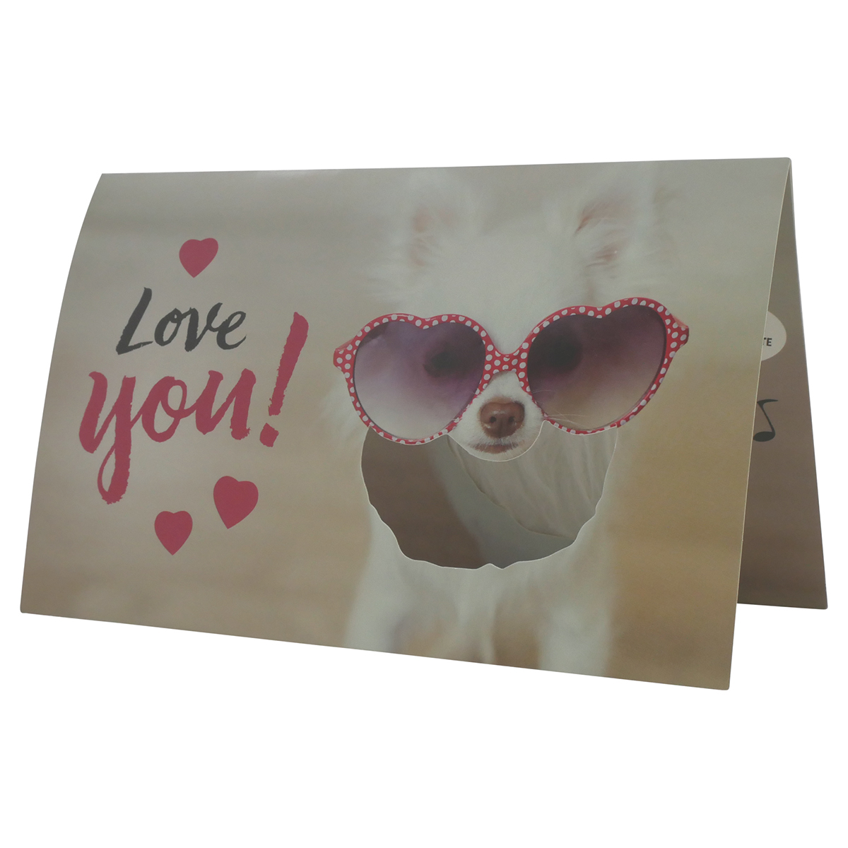 AudioPop Touch Activation Custom Interactive Audio Greeting Card & Direct Mailer - Full Color 5