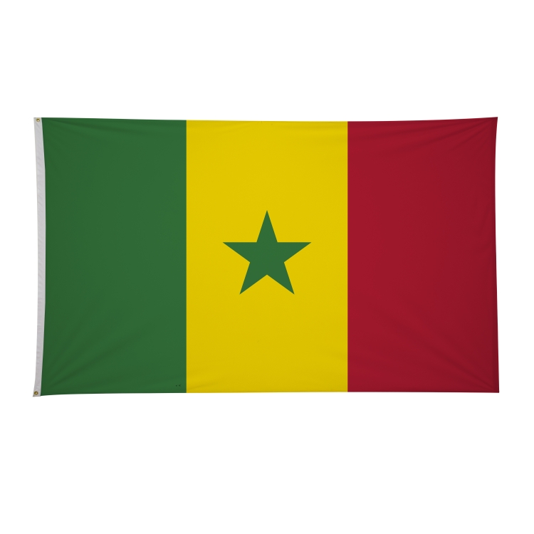 6' x 10' International Flags 163