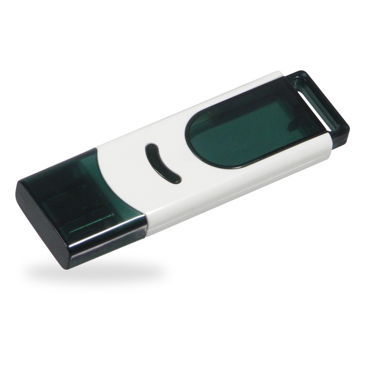 1000FMS - Flash Memory Drive V2.0 1