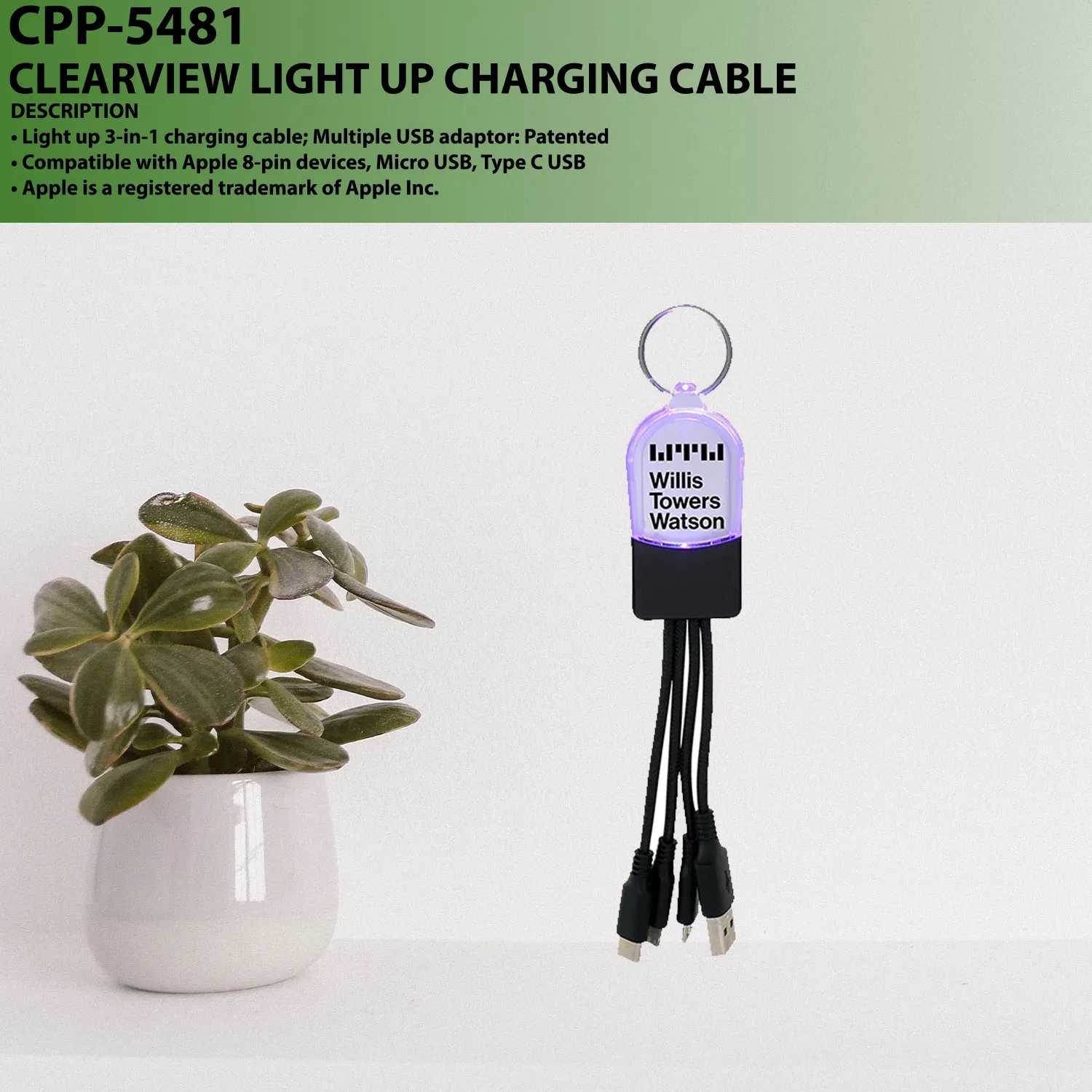 CLEARVIEW LIGHT UP CHARGING CABLE 4