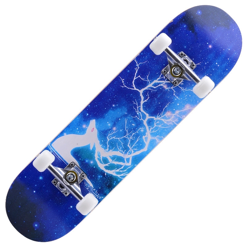 Skateboard for Extreme Sports and Outdoors Beginners & Pro 10