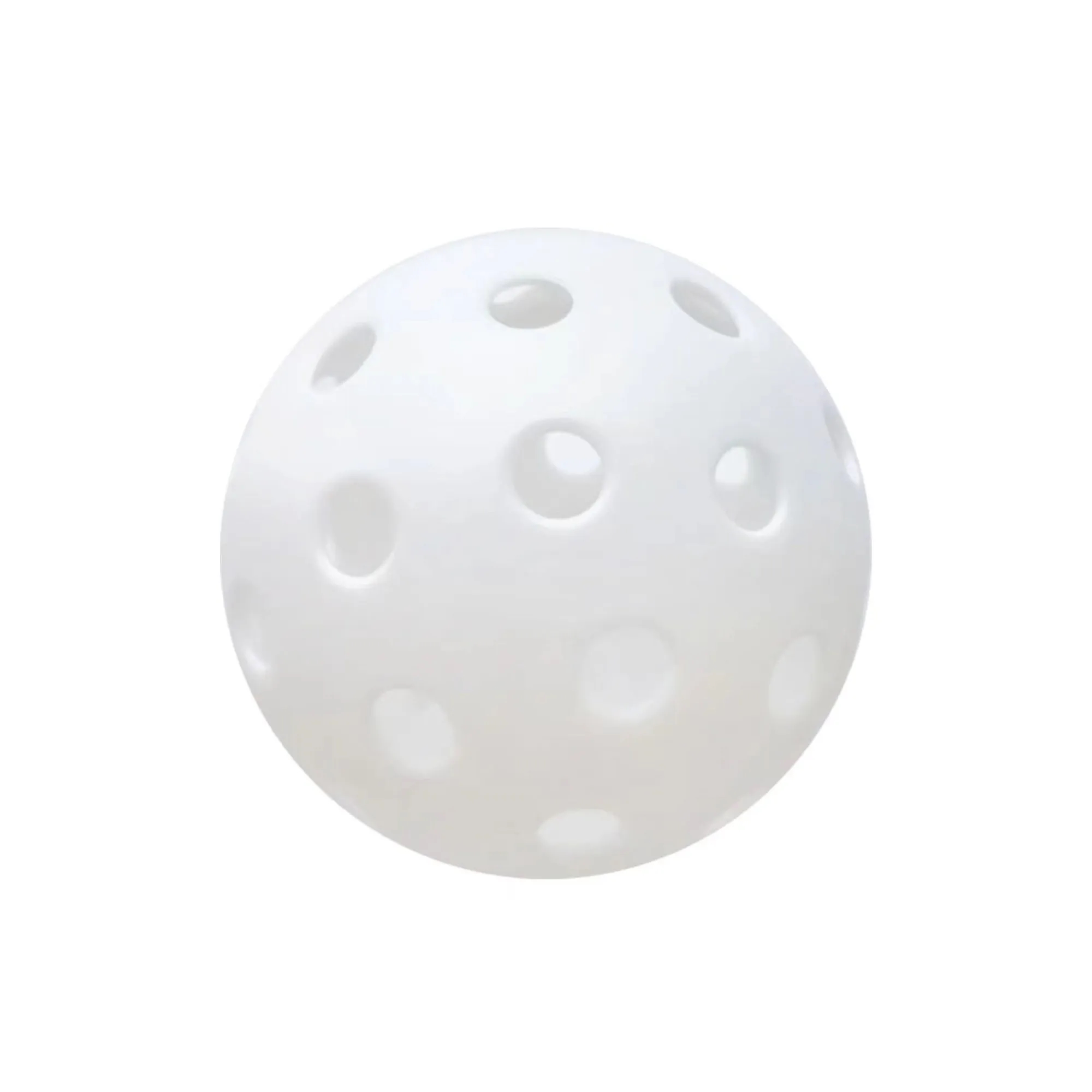 40 Hole Outdoor Wearable Pickleball 6