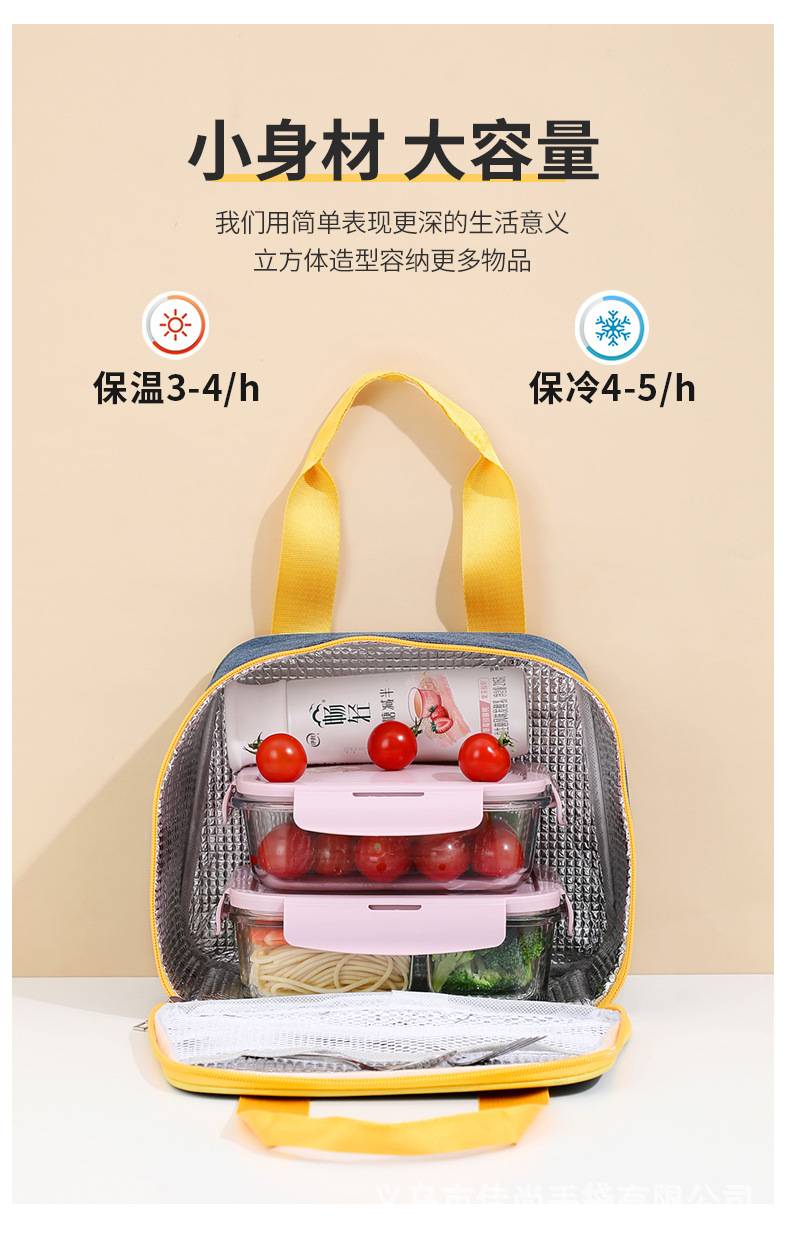 Oxford Insulated lunch Bag Handbag 3