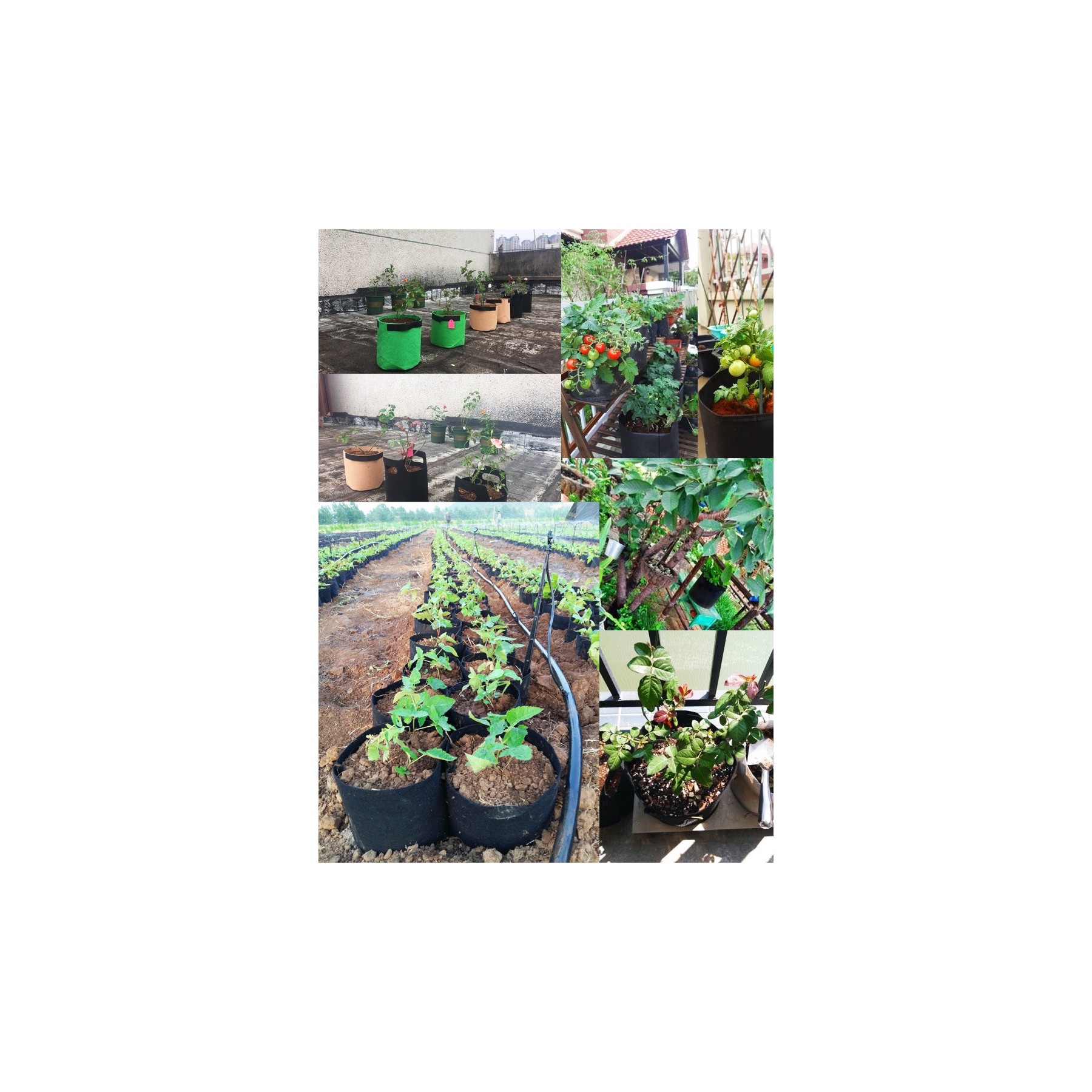 2 Gallon Non-Woven Fabric Plant Grow Bags with Handles 2
