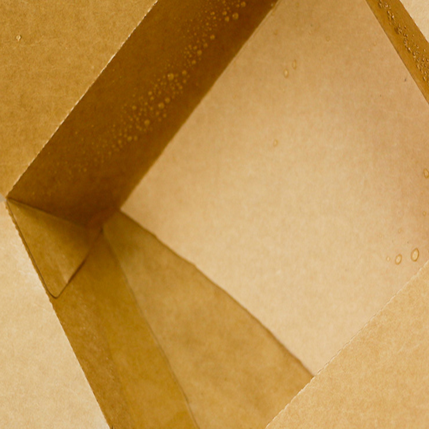 Paper Takeout Box Disposable Food Container w/ Lid 1