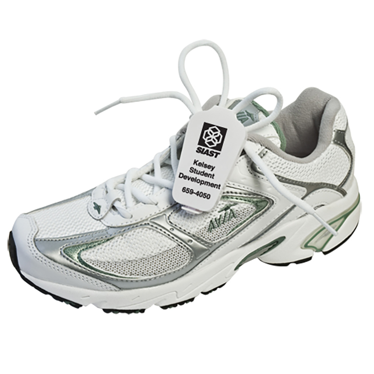 Shoe Caddy 6