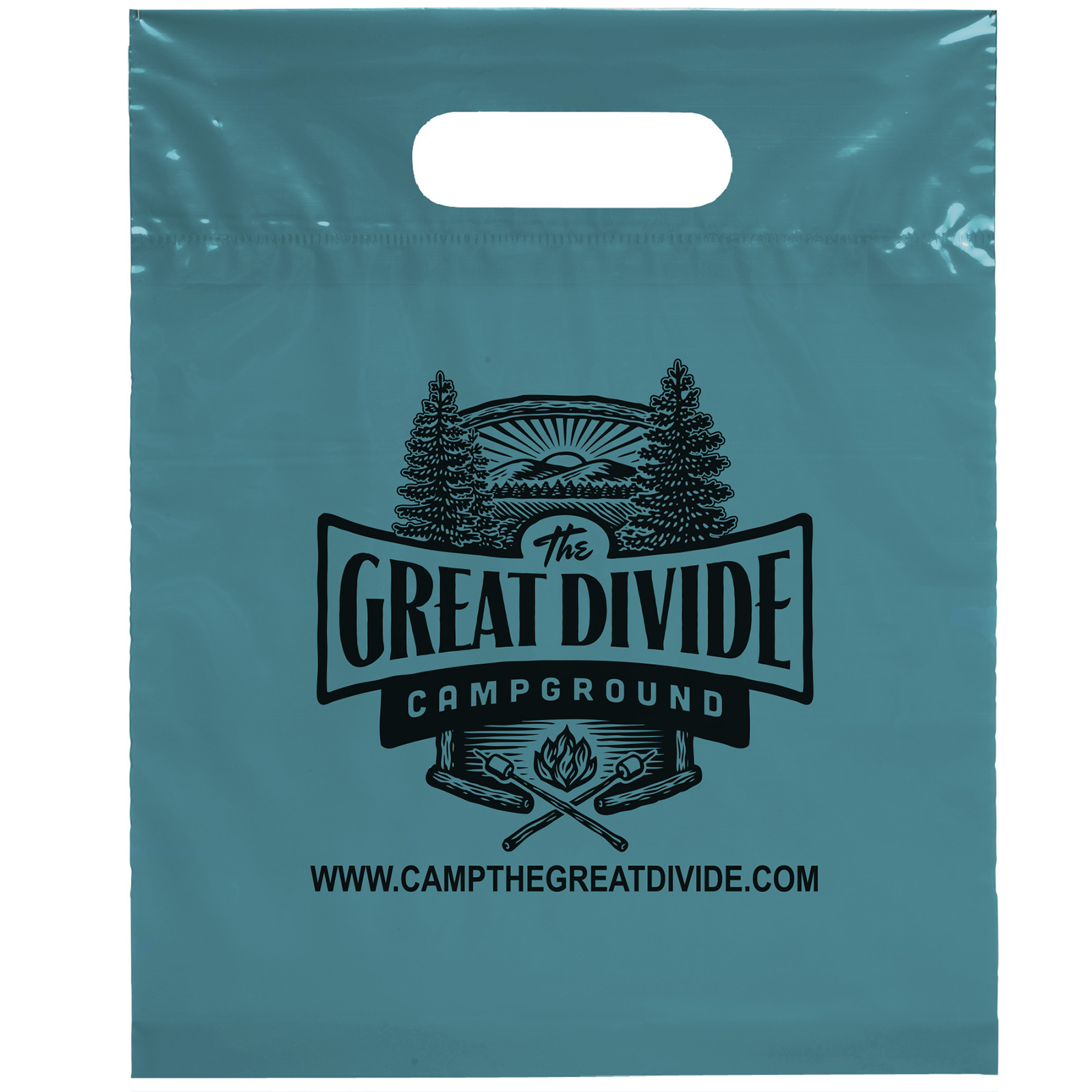 Die Cut Handle Bag - 9 1/2W x 12H - Flexo Ink Print 17