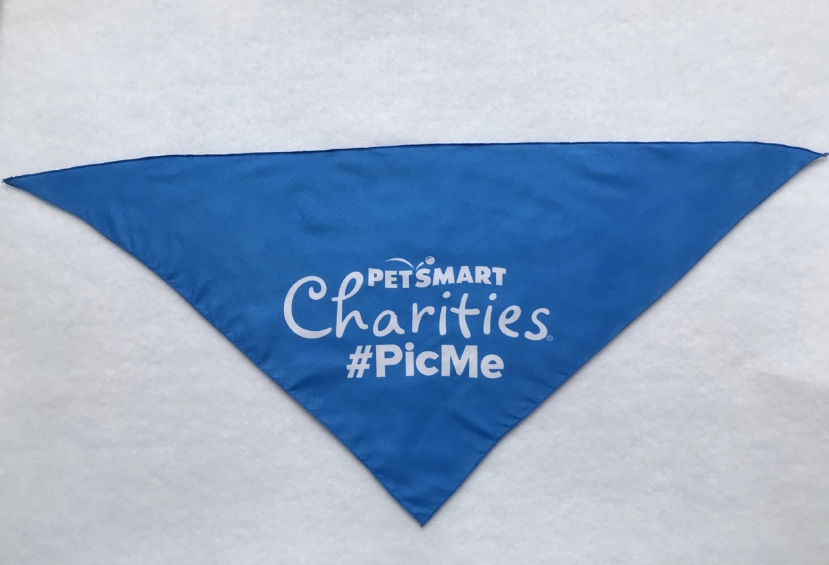 Polyester Bandanas for Dogs - Large 4