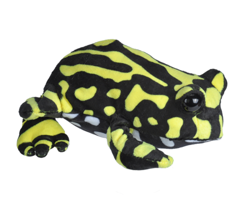 7" Hug'ems Corroboree Frog 2