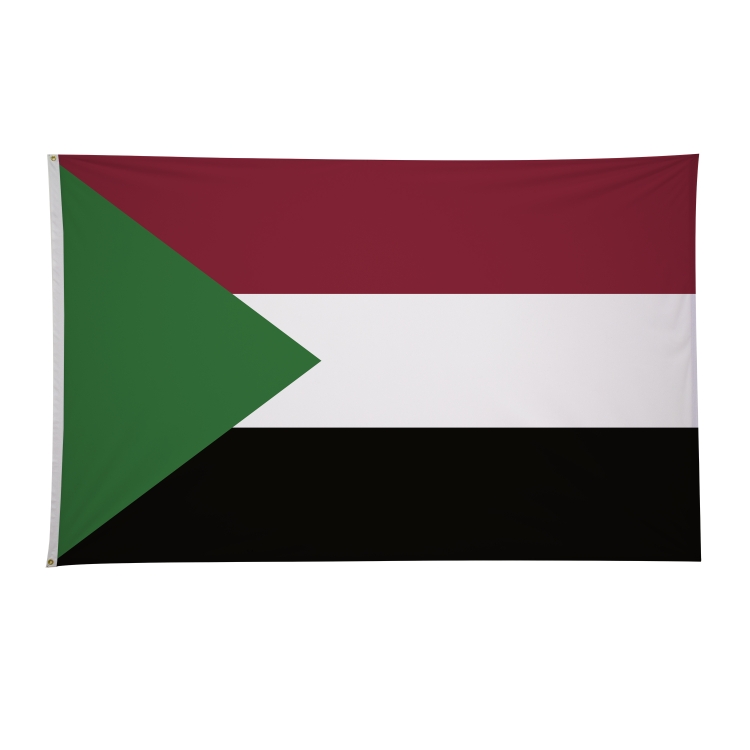 5' x 8' International Flags 225